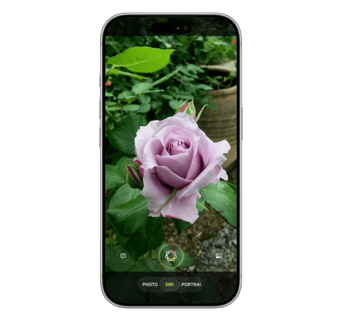苹果新Siri应用界面