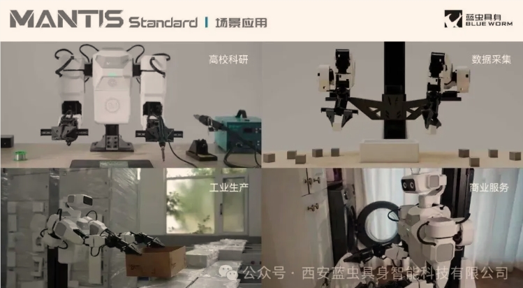 蓝虫具身发布模块化人形机器人小白 封面图