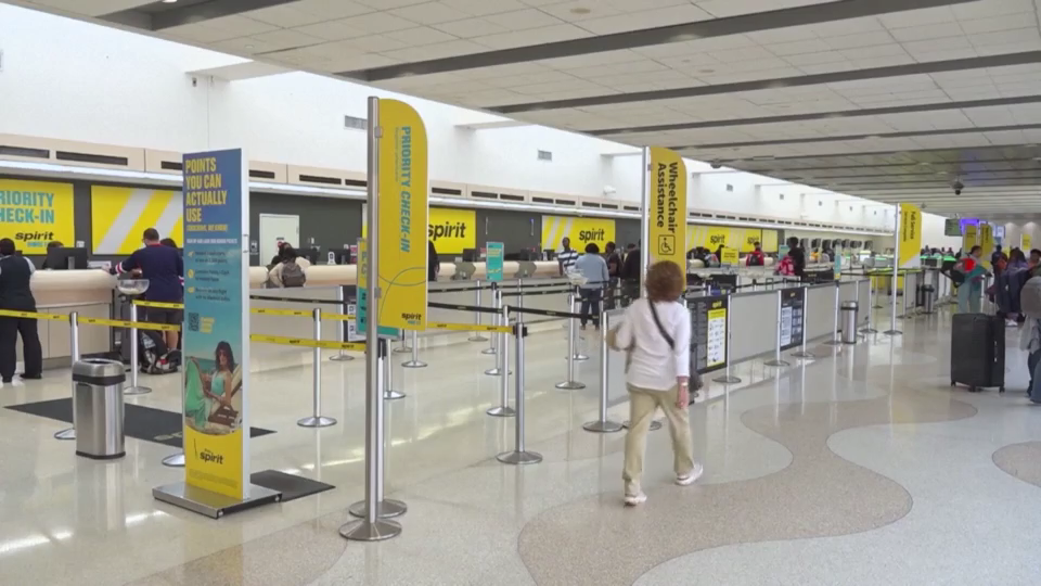 精神航空停运对航空业的影响解析