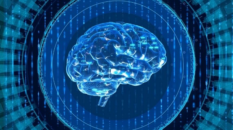 荷兰主权语言模型GPT‑NL的透明化实践