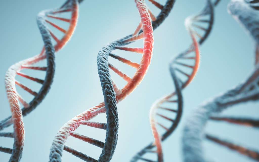 Anthropic运营湿实验室，用AI驱动生物学研究 封面图